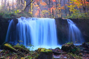  紅葉彩る銚子大滝 - 秋が織りなす水と色の協奏曲