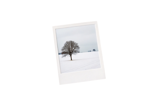 Vintage polaroid photo showing solitary bare tree in snow covered winter landscape, isolated on a transparent background