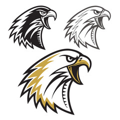Fierce eagle heads black white gold hawk bird