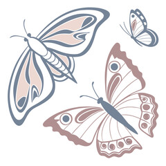 Naklejka premium Elegant butterflies abstract design butterfly illustration