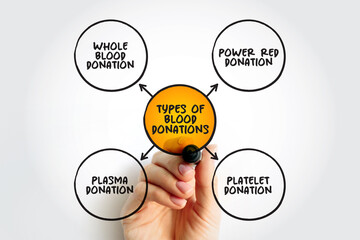 Types of blood donations mind map text concept for presentations and reports