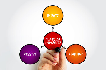 Types of immunity mind map text concept for presentations and reports