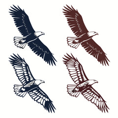 Four eagles soaring with detailed wings flying feathers