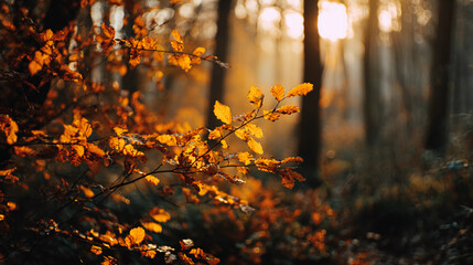 Sunset forest with yellow-orange leaves, cinematic mood