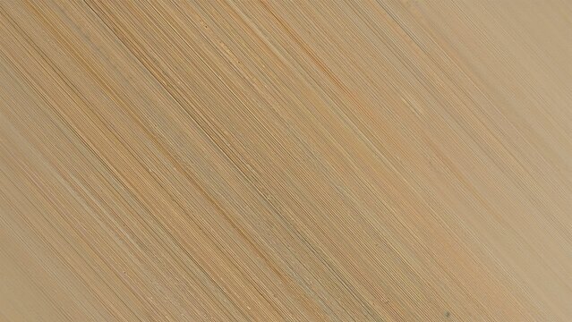 Close-up of book paper edges