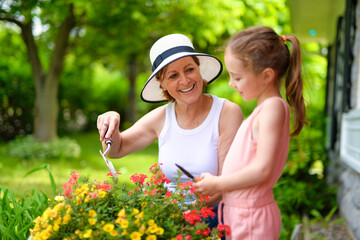 grandmother and granddaughter digging soil with gardening tools in yard
