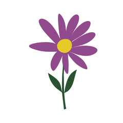 pink and yellow flower