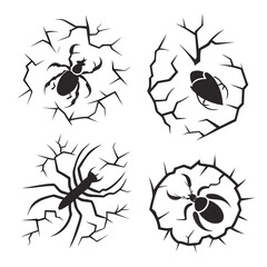 Spiders and beetle emerging from cracks insect arachnid