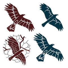 Textured flying birds dark red and blue wings feathers