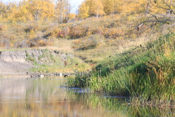 Autumn Scenery in Canora Saskatchewan Hills and Beaches.