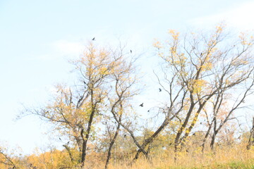 Fototapeta premium Autumn Scenery in Canora Saskatchewan Hills and Beaches.