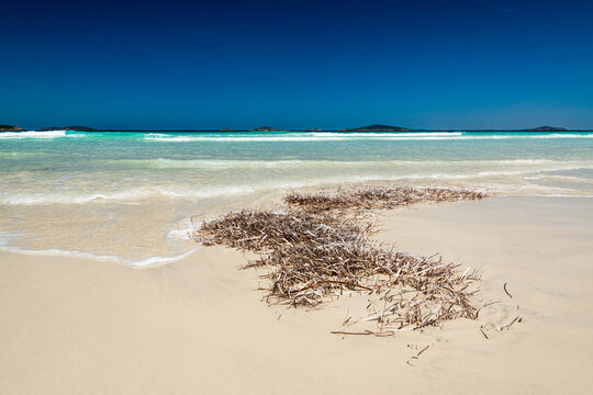 Water washing on to weed on sandy beach with aqua ocean waves and deep blue sky above horizon