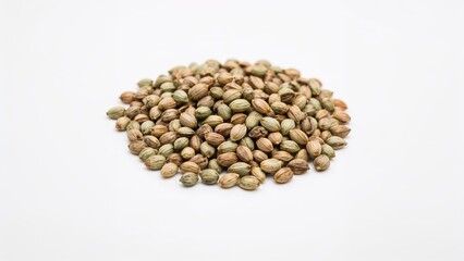 Fototapeta premium Dried seeds intended for cultivation