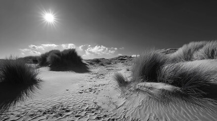 Wind-swept dunes and black sun