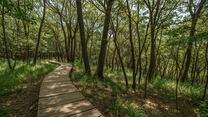 Fototapeta premium Natural wooden pathway on an ecological forest route