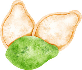 watercolor pumpkin seeds