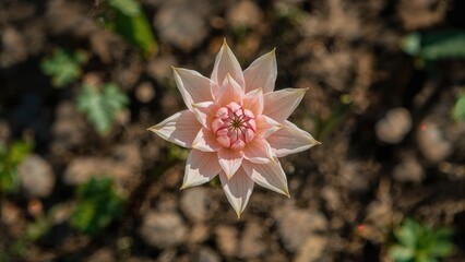 Progress in a Distinct Field