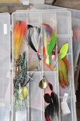 Fish Camp 2025 