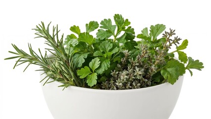 Fototapeta premium A selection of fresh rosemary, parsley, bay leaves, and thyme contained in a white bowl against a white backdrop