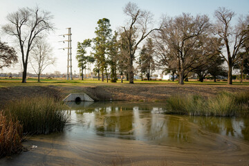 Lago en el parque