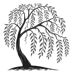Vector art of a weeping willow tree is isolated on white background © MD