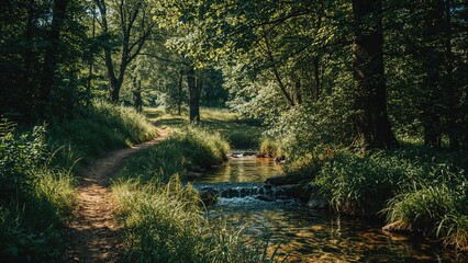 Obraz premium A route through verdant forest next to a babbling brook
