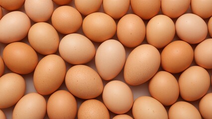 Numerous poultry eggs