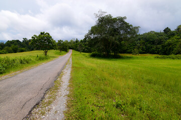 A road in a green grassland in the rainy season. Rain clouds gather in a group in the sky.