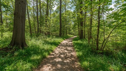 A daylight hike along a green corridor filled with trees and natural vegetation.