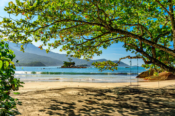 Swing in the shade of a tree on Castelhanos beach in Ilhabela on the north coast of S&atilde;o Paulo
