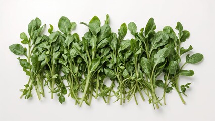 Obraz premium Overhead shot of fresh arugula leaves against a white backdrop