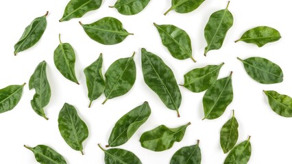 Green bay leaves dropping onto a white backdrop