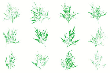 Natural dill leaves imprint, Grunge style, Vector, Isolated, Decorative elements for design	