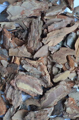 close up of a pile of firewood