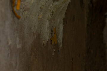A detailed closeup view of a wall that prominently features a bright yellow star painted on its...