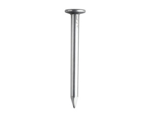 A single, sharp metal nail with a flat head is perfectly positioned for any fastening project.
