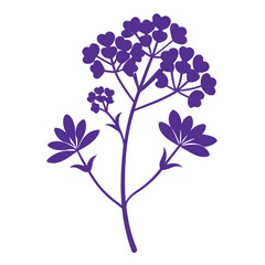 sea lavender flower silhouette vector  illustration isolated on white background