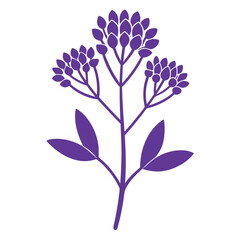sea lavender flower silhouette vector on-white-background