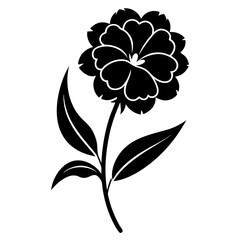 sweet william silhouette  vector on-white-background