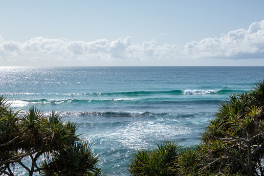 View of ocean waves over pandanas palm
