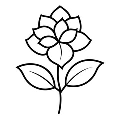 syringa line art vector on-white-background