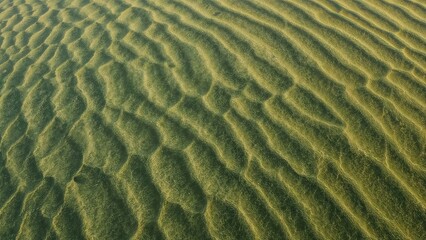 Unique green surface designs based on coastal desert environments, tailored for advanced creative work