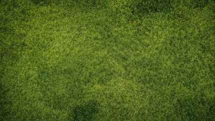 Fototapeta premium Outdoor green pattern