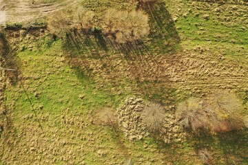 Autumn background. Yellow fields from the top. Lithuanian nature.Nature in september. Empty fields. 