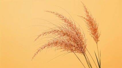 Fototapeta premium Charming blossoms and grasses showcasing bright colors