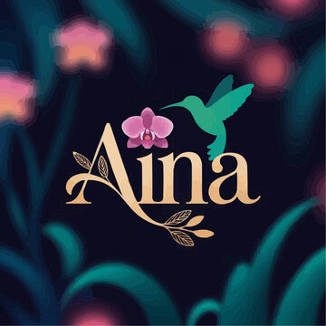 aina logo