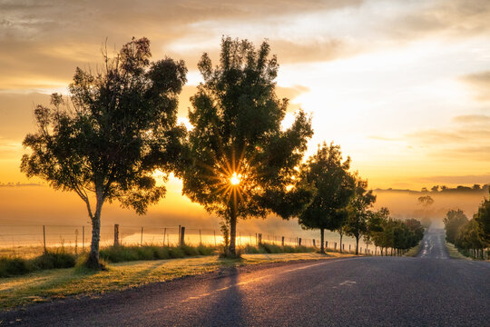 Golden rays of the morning sun on a country road on a moody country morning