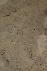 This image features a closeup view of a sandy surface that includes a few small stones scattered across it, creating an interesting texture