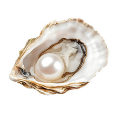 Pearl in oyster isolated on transparent background