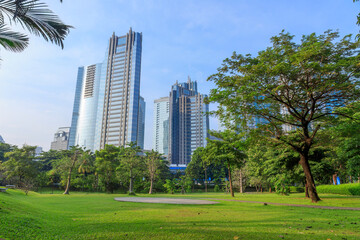 Obraz premium Public park or city forest with high-rise buildings cityscape in metropolis city center